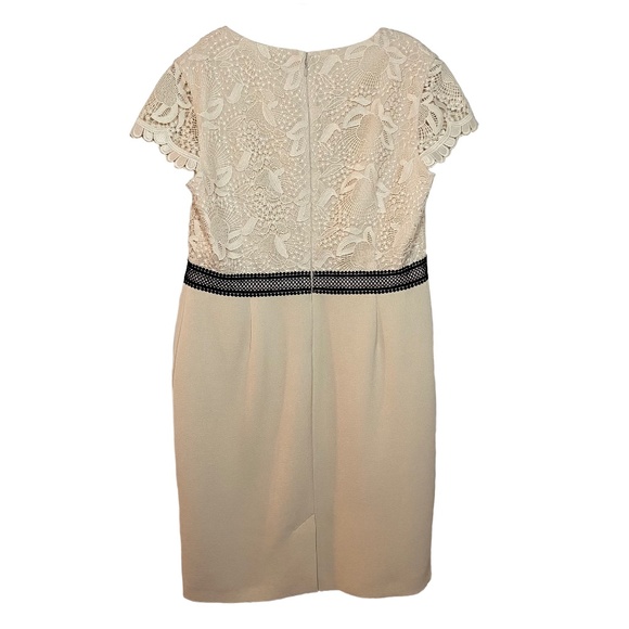 Precis Petite Women Cream Lace Top Dress US L (14) - Picture 7 of 9